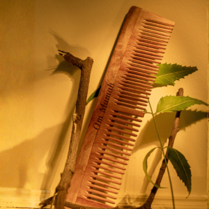 2-in-1 Frizz-Free Neem Comb Detangle & Style
